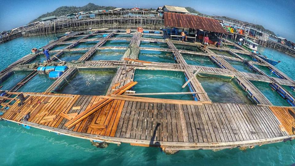 Potensi Ekonomi Maritim Indonesia