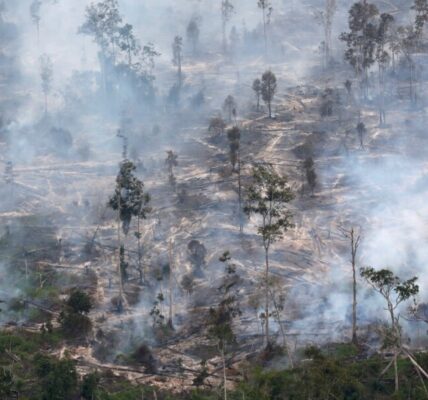 Editorial Krisis Iklim