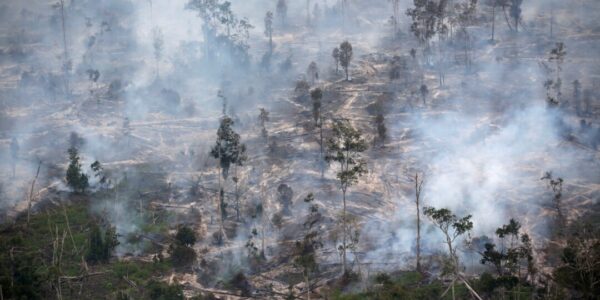 Editorial Krisis Iklim